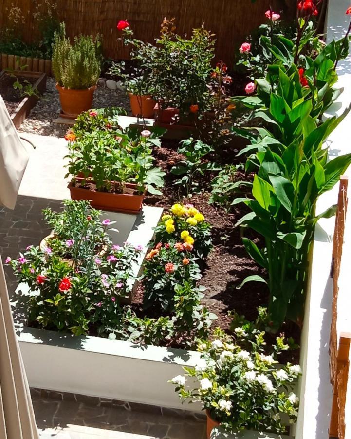 Charming Garden Apartment Rhodes City 部屋 写真